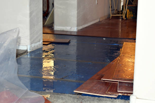 Professional Sewage Cleanup technician working in Trufant, MI