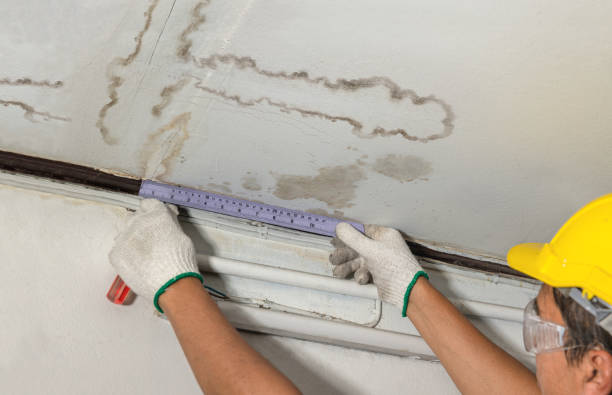 Reliable Sewage Cleanup contractor in Trufant, MI by Water Damage Irwin